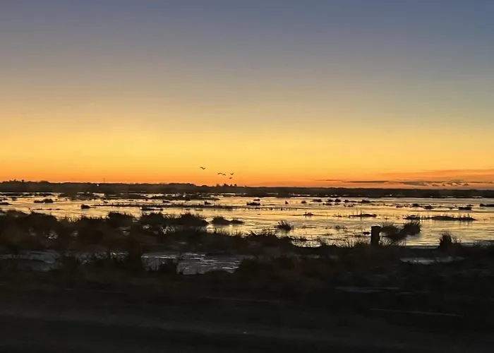 別荘 Ronja - 100m To The Fjord By Interhome