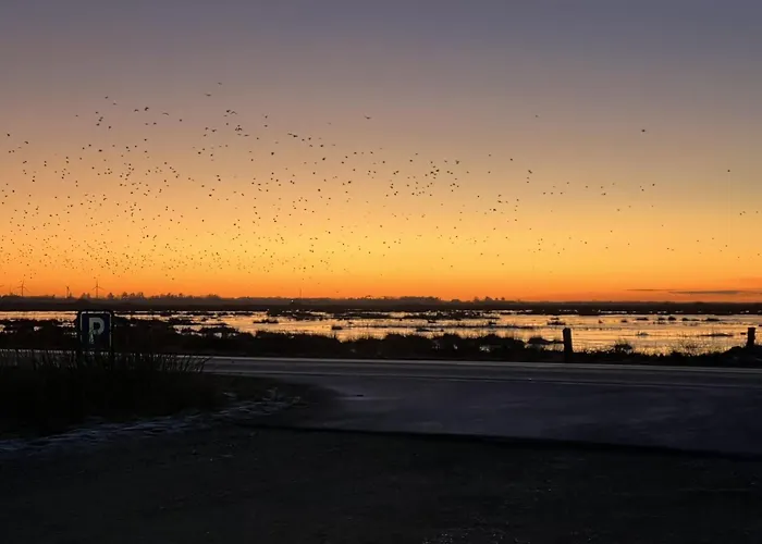 別荘 Ronja - 100m To The Fjord By Interhome