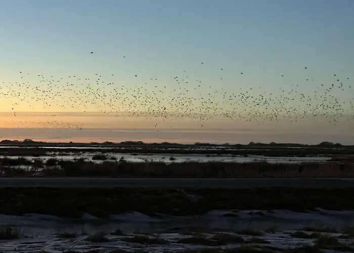 Ronja - 100m To The Fjord By Interhome * Hemmet